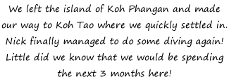 We left the island of Koh Phangan and made our way to Koh Tao where we quickly settled in. Nick finally managed to do some diving again! Little did we know that we would be spending the next 3 months here!