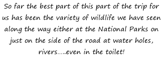 So far the best part of this part of the trip for us has been the variety of wildlife we have seen along the way either at the National Parks on just on the side of the road at water holes, rivers…..even in the toilet!